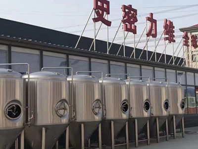 遂平精酿啤酒设备厂—市场规模与跨界新需求